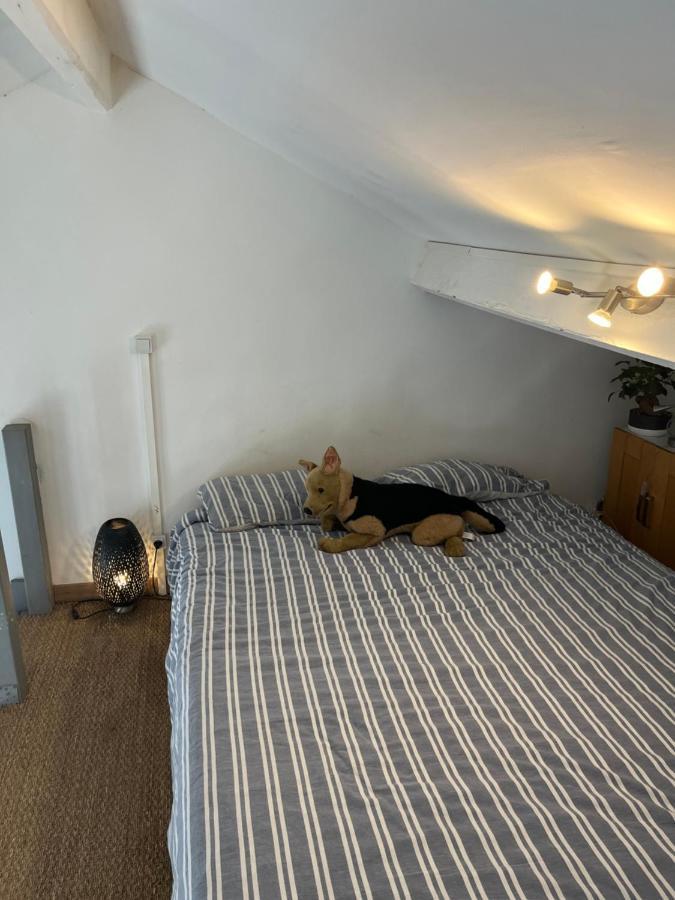 Les Hauts De Malmousque Appartement Marseilles Buitenkant foto